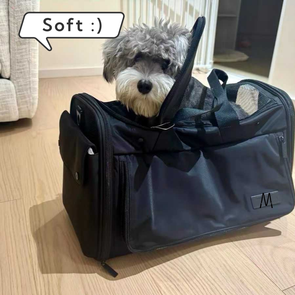 Borsa Trasportino Comoda per A - Luxury Bags Direct recensione e prezzo